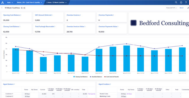 Bedford Consulting Anaplan chart on cash flow